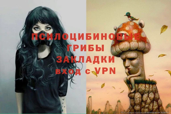 СК Бугульма